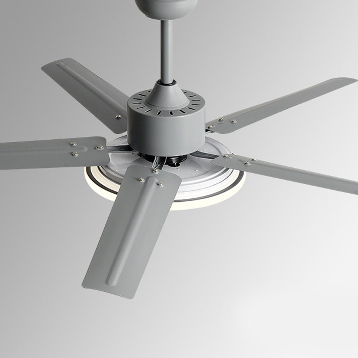 Modern Minimalist Five - leaf Stainless Steel Ceiling Fan - Glimvale