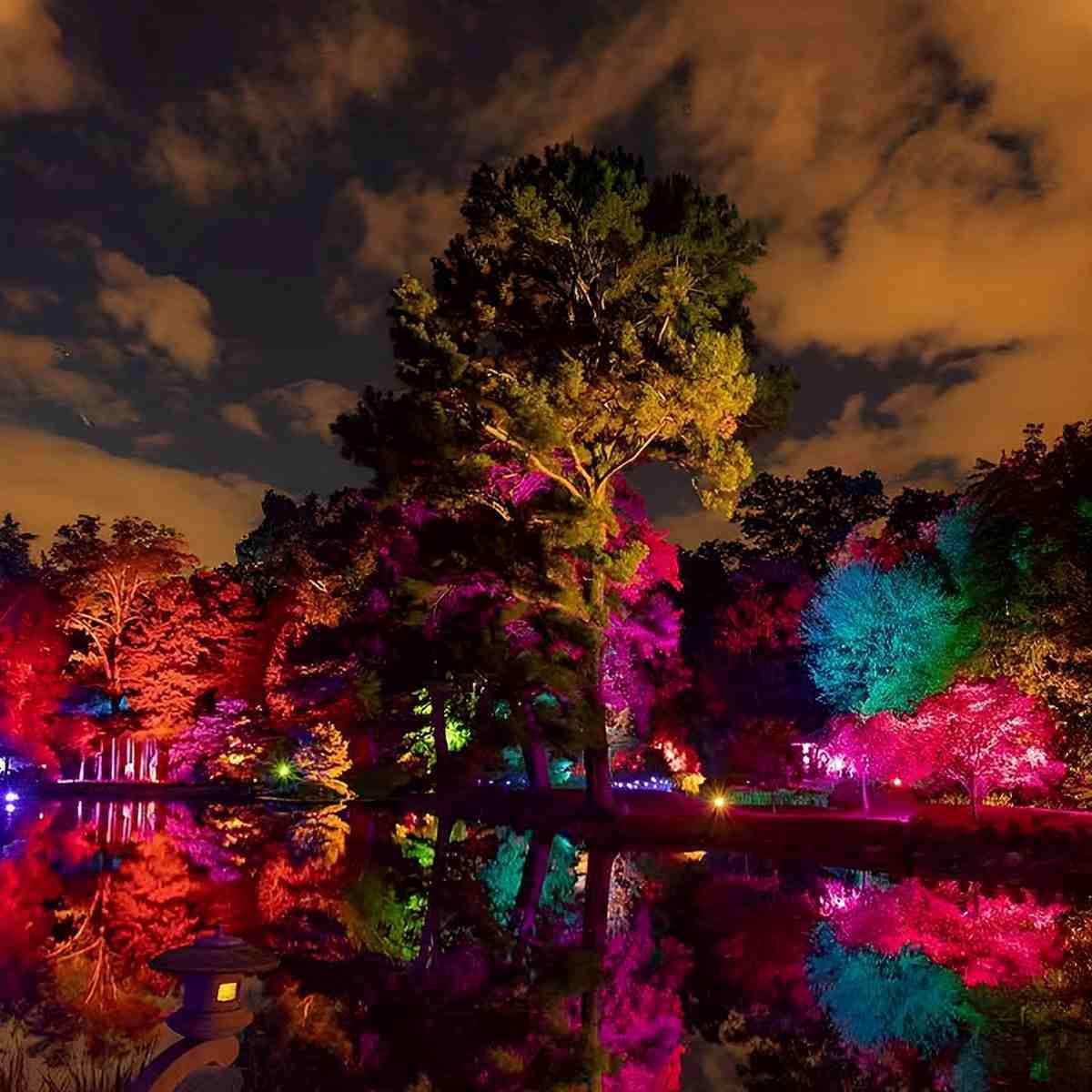 Outdoor Waterproof RGB LED Spot Lights Trees Lights - Glimvale