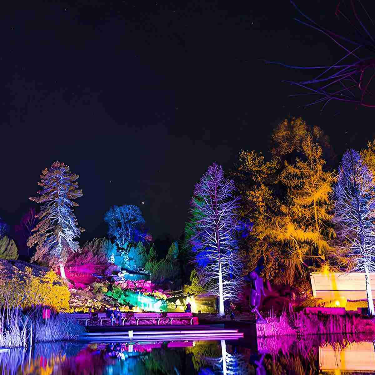 Outdoor Waterproof RGB LED Spot Lights Trees Lights - Glimvale