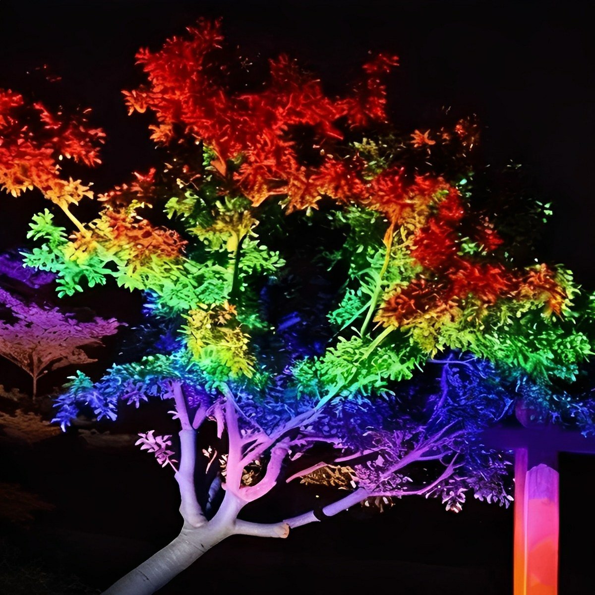 Outdoor Waterproof RGB LED Spot Lights Trees Lights - Glimvale