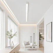 Minimalist Strip Dimming LED Modern Ceiling Light - Glimvale