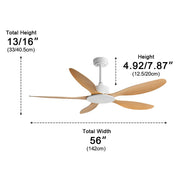 Modern Minimalist 5 - Blades DC Motor Reverse Ceiling Fan - Glimvale