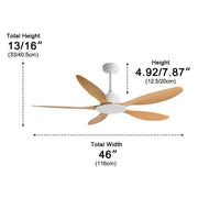 Modern Minimalist 5 - Blades DC Motor Reverse Ceiling Fan - Glimvale