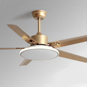 Modern Minimalist Five - leaf Stainless Steel Ceiling Fan - Glimvale