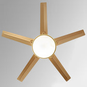 Modern Minimalist Five - leaf Stainless Steel Ceiling Fan - Glimvale