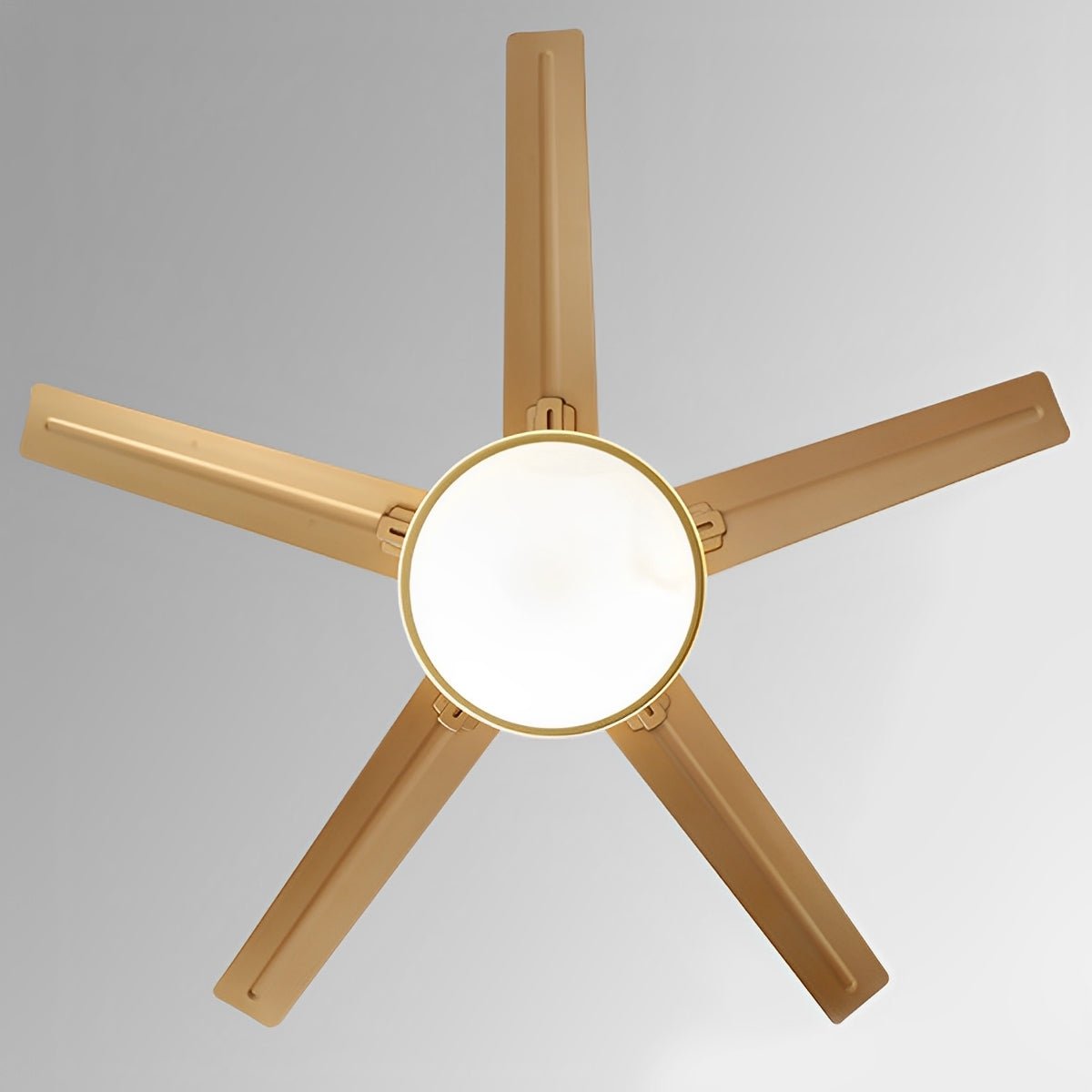 Modern Minimalist Five - leaf Stainless Steel Ceiling Fan - Glimvale