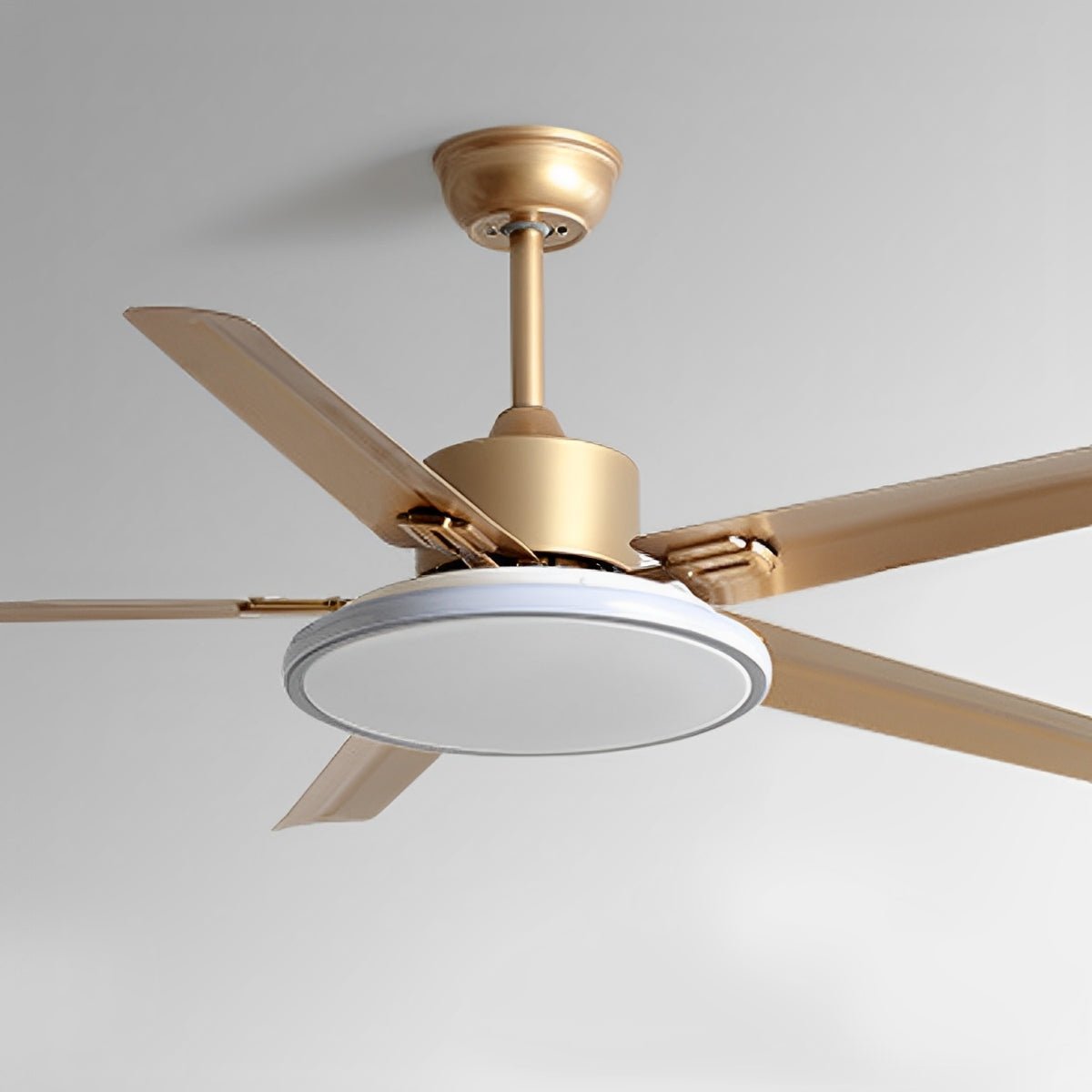 Modern Minimalist Five - leaf Stainless Steel Ceiling Fan - Glimvale