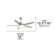 Modern Minimalist Five - leaf Stainless Steel Ceiling Fan - Glimvale