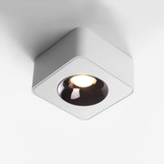 Modern Minimalist Square LED Indoor Ceiling Spot Light - Glimvale