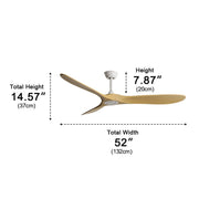 Modern Scandinavian Minimalist DC Motor Reverse Ceiling Fan - Glimvale