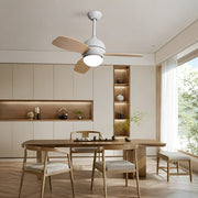 Nordic Minimalist LED Ceiling Paddle Fan DC Motor Fan Light - Glimvale