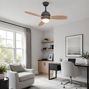 Nordic Minimalist LED Ceiling Paddle Fan DC Motor Fan Light - Glimvale