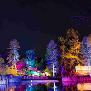 Outdoor Waterproof RGB LED Spot Lights Trees Lights - Glimvale