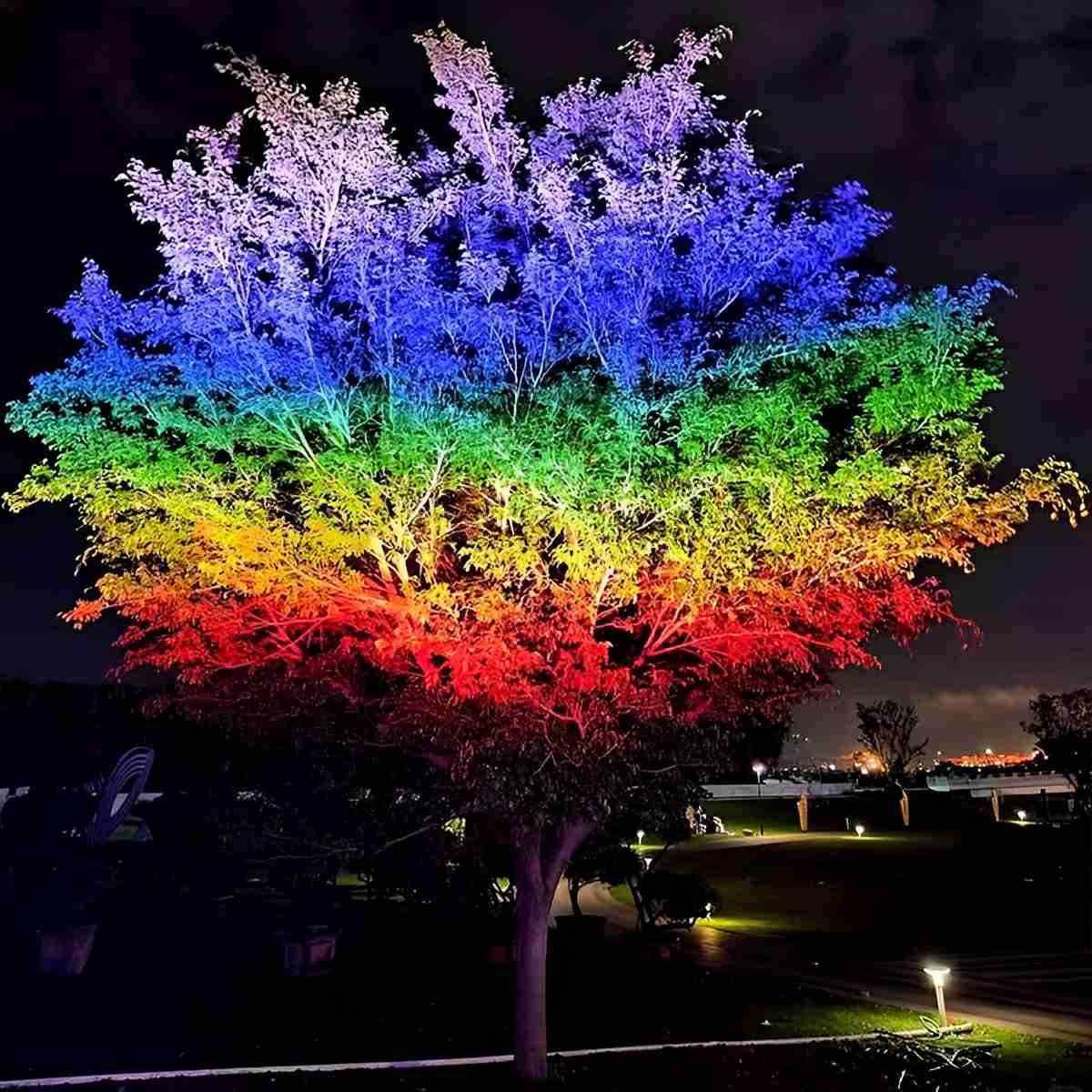 Outdoor Waterproof RGB LED Spot Lights Trees Lights - Glimvale