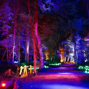 Outdoor Waterproof RGB LED Spot Lights Trees Lights - Glimvale