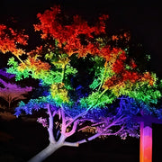 Outdoor Waterproof RGB LED Spot Lights Trees Lights - Glimvale