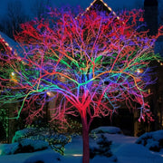 Tunable Outdoor Waterproof RGB LED Spot Light Landscape Tree Lighting With Remote Control - Glimvale
